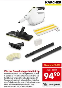 Dampfreiniger Multi & Up