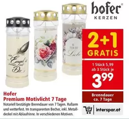 Engel - Premium Motivlicht 7 Tage
