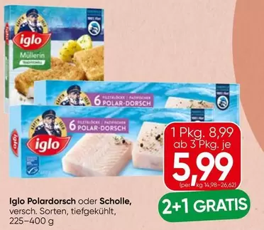 Polardorsch oder Scholle