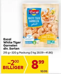 Tiger - White  Garnelen