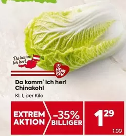Chinakohl