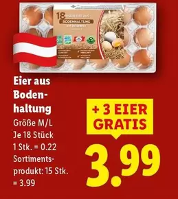Boden - Eier aus haltung