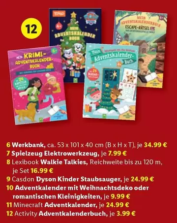 Dyson - Activity Adventkalenderbuch