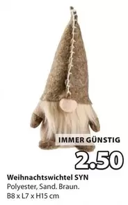 Weihnachtswichtel SYN