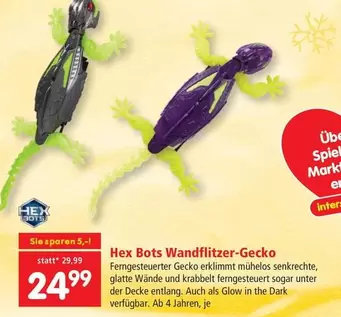 Dark - Wandflitzer-Gecko