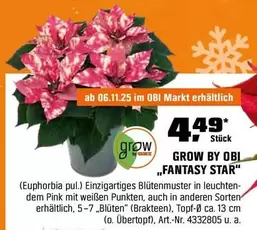 Pink - „FANTASY STAR"