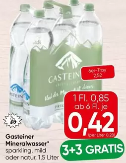 Gasteiner - Mineralwasser