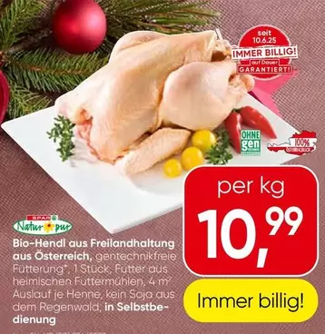 Bio-Hendi aus Freilandhaltung