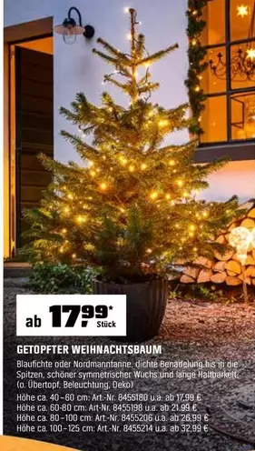 GETOPFTER WEIHNACHTSBAUM
