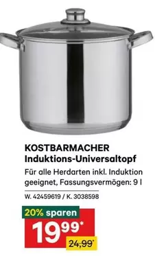 Induktions-Universaltopf