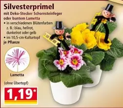 Silvesterprimel