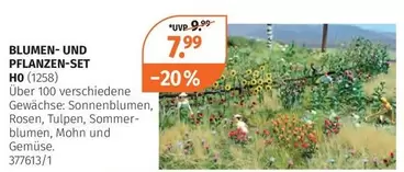 BLUMEN- UND PFLANZEN-SET HO (1258)