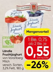 Fruchtjoghurt