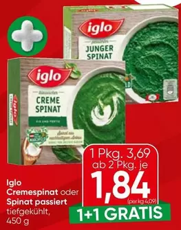 Cremespinat oder Spinat passiert