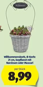 Willkommenskorb, 0-Korb