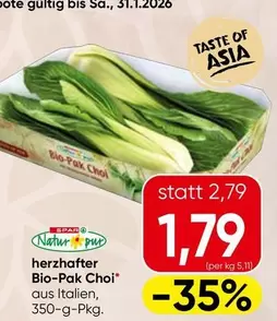 Bio-Pak Choi