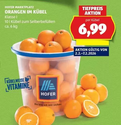 ORANGEN IM KÜBEL