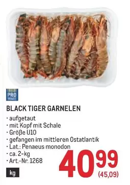 Tiger - BLACK TIGER GARNELEN