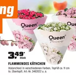 Queen - FLAMMENDES KÄTHCHEN