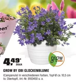 GLOCKENBLUME