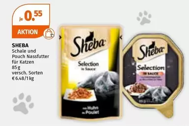 Schale und Pouch Nassfutter für Katzen