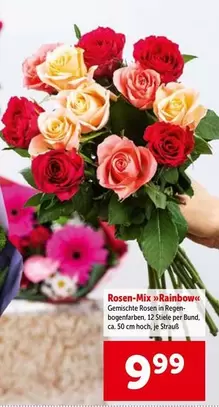 Rainbow - Rosen-Mix »«