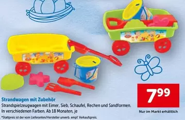 Strandwagen mit Zubehör