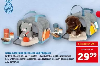 Katze oder Hund mit Tasche und Pflegeset