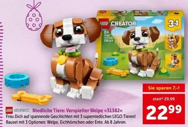 Niedliche Tiere: Verspielter Welpe >>31382