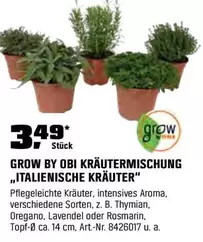 KRÄUTERMISCHUNG „ITALIENISCHE KRÄUTER"