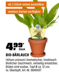 BIO-BÄRLAUCH
