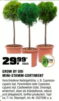 Gold - MINI-STAMM-SORTIMENT