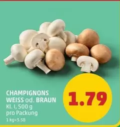 Weiss - CHAMPIGNONS WEISS od. BRAUN