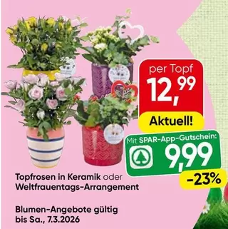 Topfrosen in Keramik oder Weltfrauentags-Arrangement