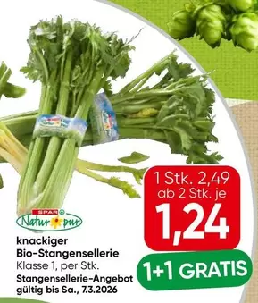 Bio-Stangensellerie