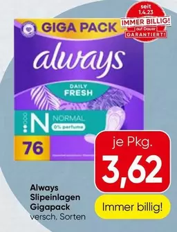 Slipeinlagen Gigapack