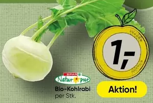 Bio-Kohlrabi