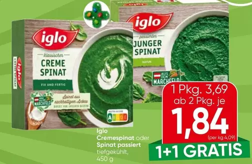 Cremespinat oder Spinat passiert tiefgekühlt