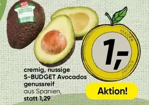 S-BUDGET Avocados
