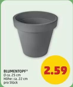 BLUMENTOPF*
