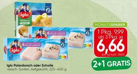 Polar - dorsch oder Scholle