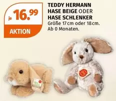 Teddy - HASE BEIGE ODER HASE SCHLENKER