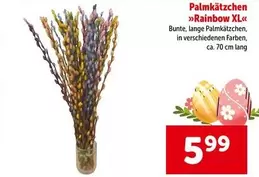 Rainbow - Palm Kätzchen " XL"