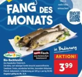 Herz - Bio-Bachforelle