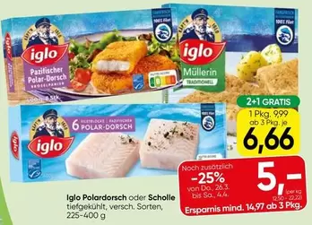 Iglo Polardorsch oder Scholle tiefgekühlt, versch. Sorten
