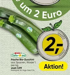 frische Bio-Zucchini