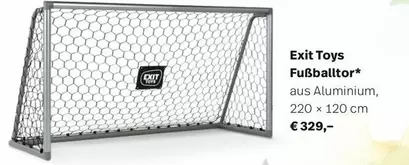 Fußballtor
