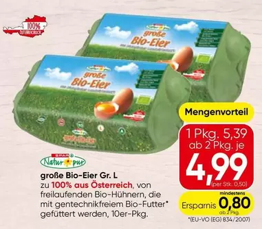 Große Bio-Eier L