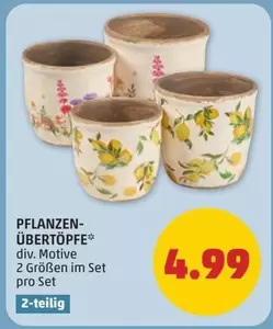 Pflanzen-Übertöpfe