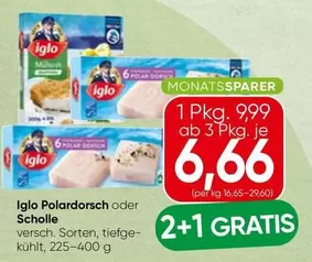 Polar - dorsch oder Scholle